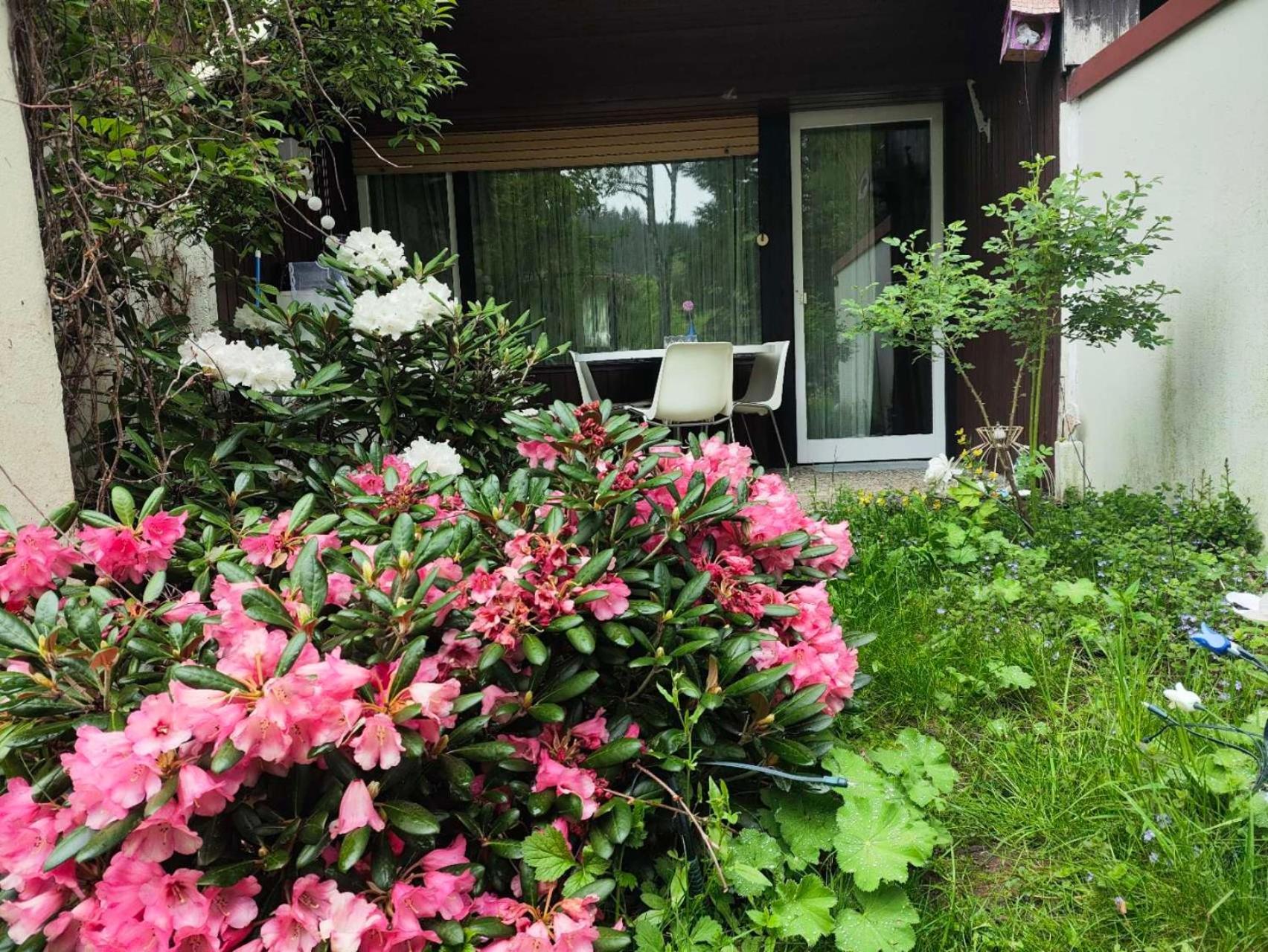 Ferienwohnung Schoene Wohnung 2D-Gebaeude Mit Mini-Garten Schönwald Ngoại thất bức ảnh